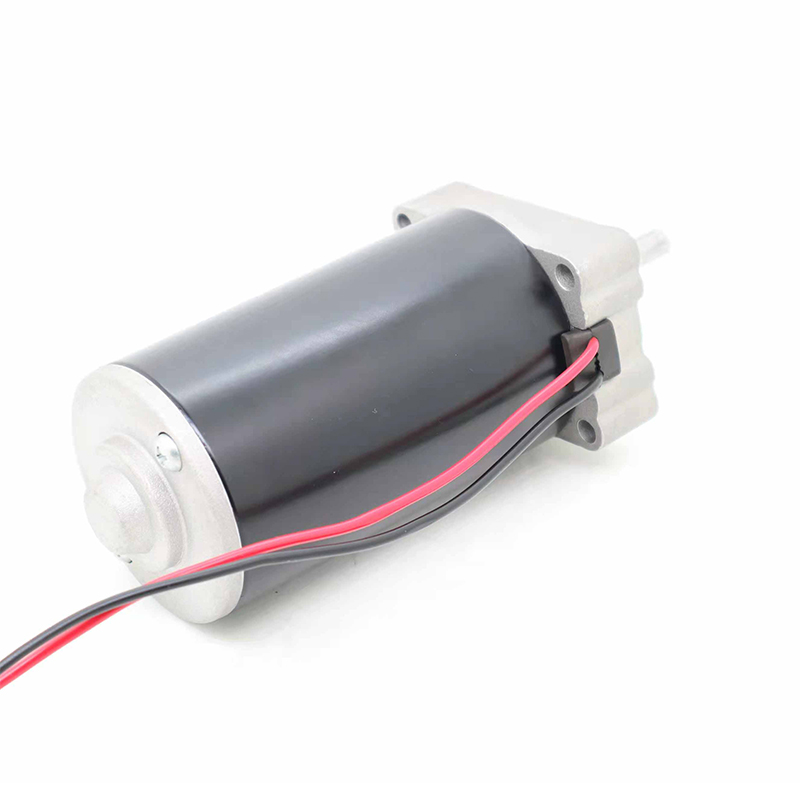 ZD2899 (diâmetro 63) Motor DC