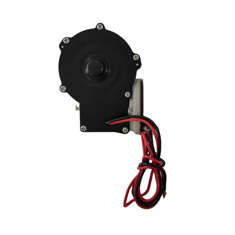 12V 100501912 Motor de escova DC engrenagem